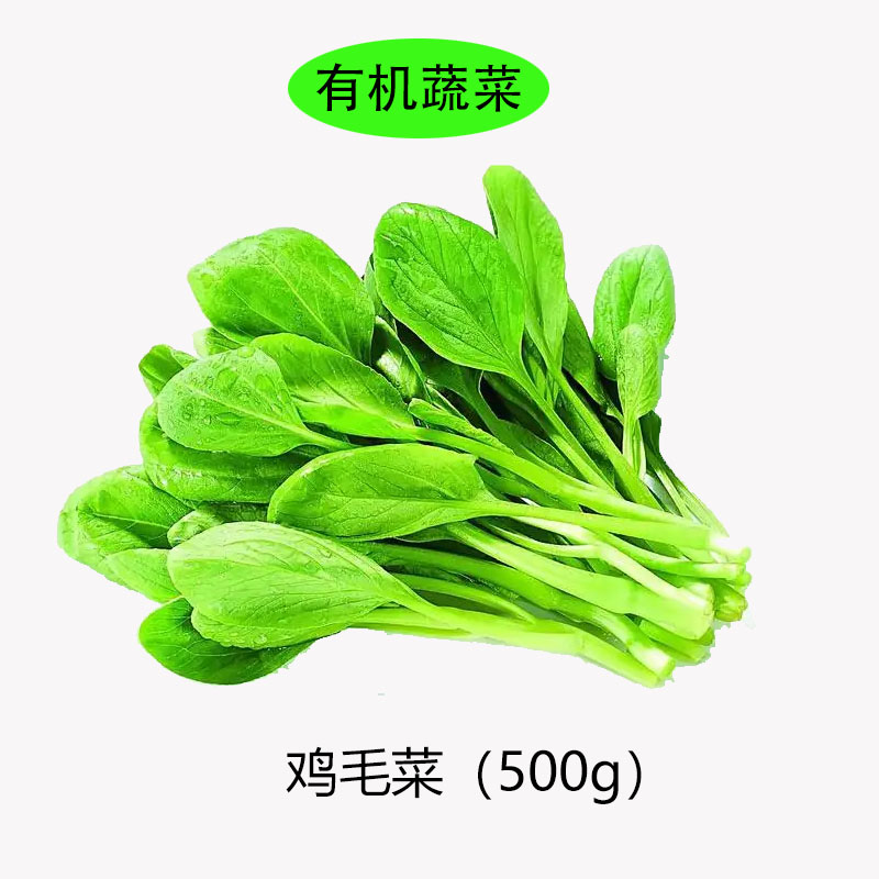 鸡毛菜.jpg