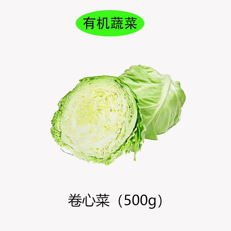 卷心菜.jpg